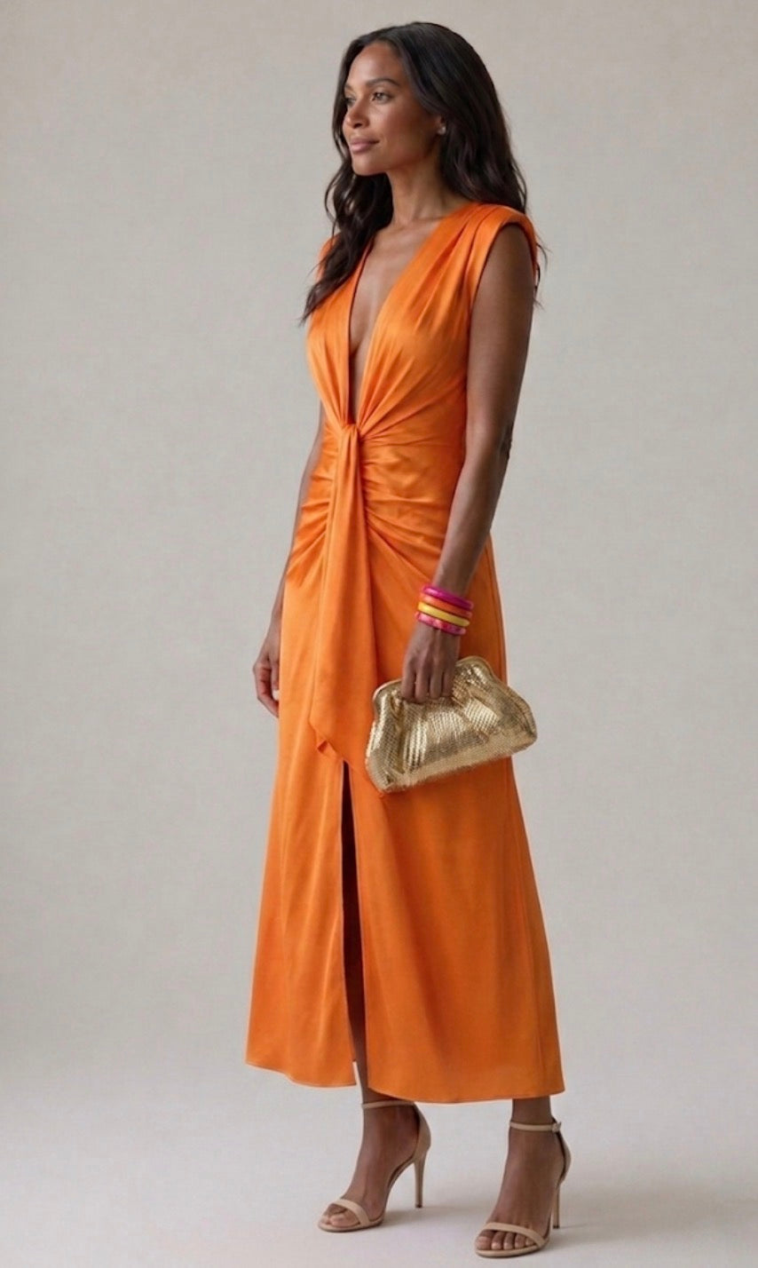 Lliy  | Elegant Pleated Dress
